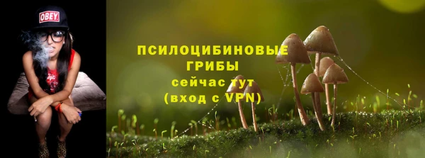мяу мяу кристалл Покачи