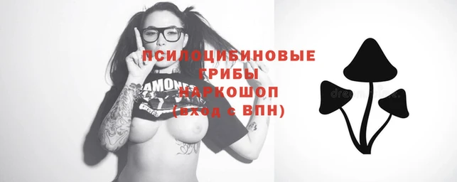 молекула духа Переславль-Залесский