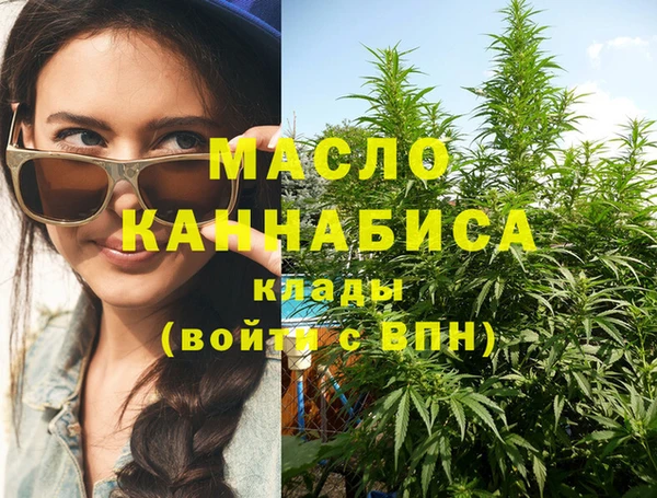 молекула духа Переславль-Залесский
