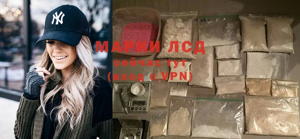 амф Чита